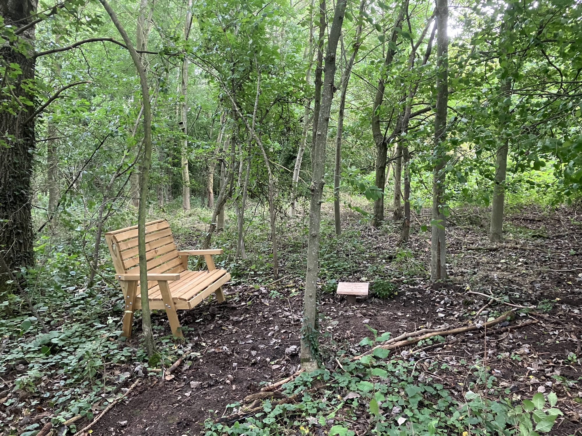 Natural Death Centre Choosing a natural burial ground